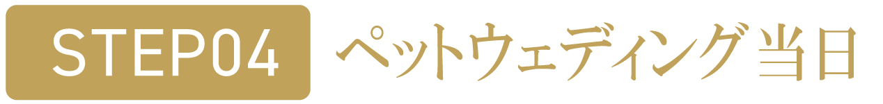 ペットウェディング当日